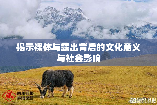 揭示裸体与露出背后的文化意义与社会影响