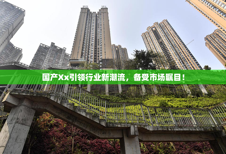 国产Xx引领行业新潮流，备受市场瞩目！