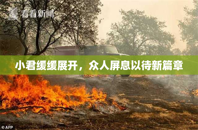 小君缓缓展开，众人屏息以待新篇章