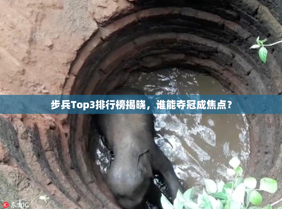 步兵Top3排行榜揭晓，谁能夺冠成焦点？