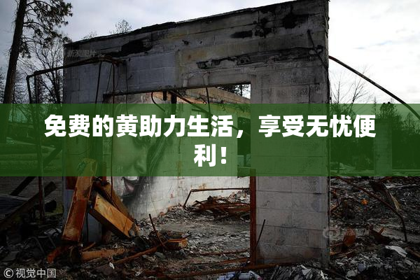 免费的黄助力生活，享受无忧便利！