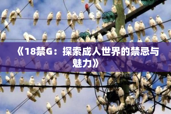 《18禁G：探索成人世界的禁忌与魅力》