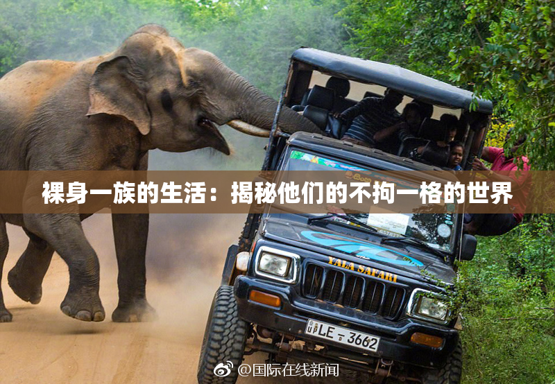 裸身一族的生活：揭秘他们的不拘一格的世界