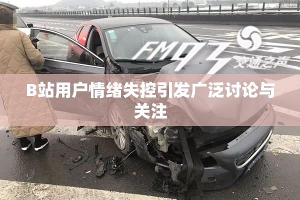 B站用户情绪失控引发广泛讨论与关注