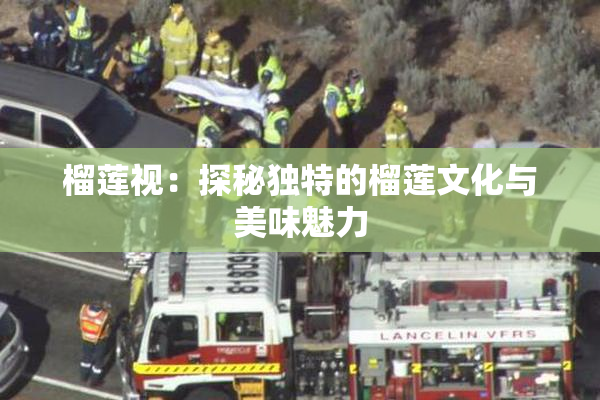 榴莲视：探秘独特的榴莲文化与美味魅力