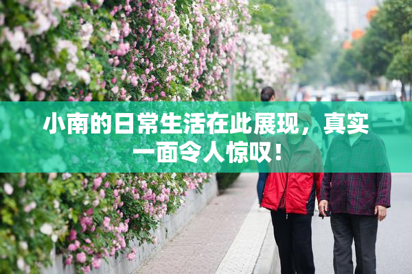 小南的日常生活在此展现，真实一面令人惊叹！