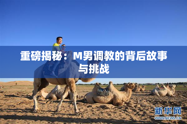 重磅揭秘：M男调教的背后故事与挑战