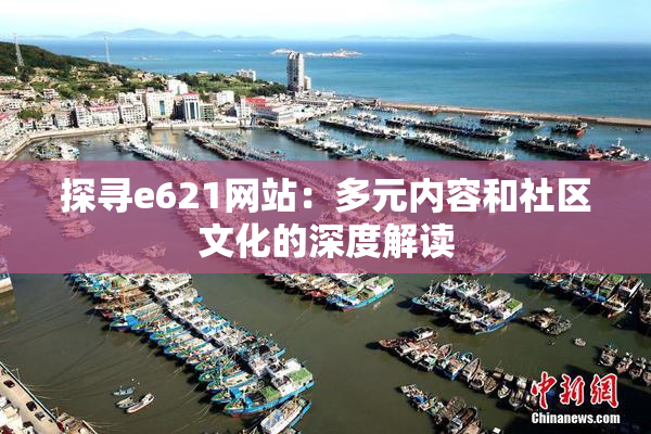 探寻e621网站：多元内容和社区文化的深度解读