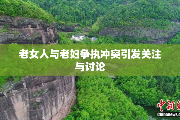 老女人与老妇争执冲突引发关注与讨论