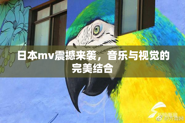 日本mv震撼来袭，音乐与视觉的完美结合