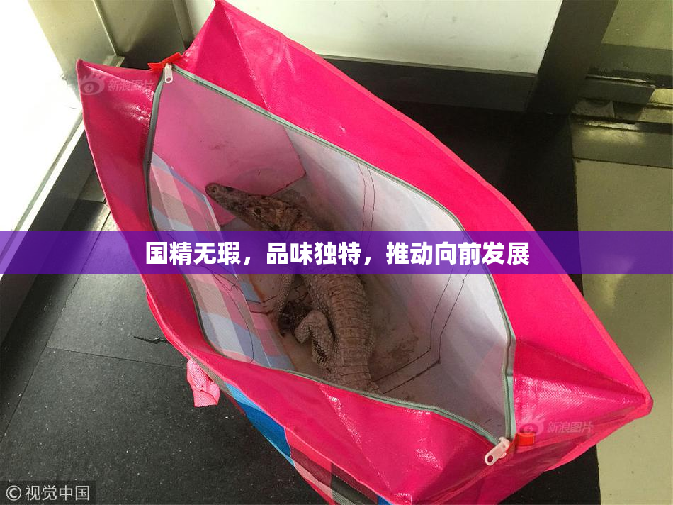 国精无瑕，品味独特，推动向前发展