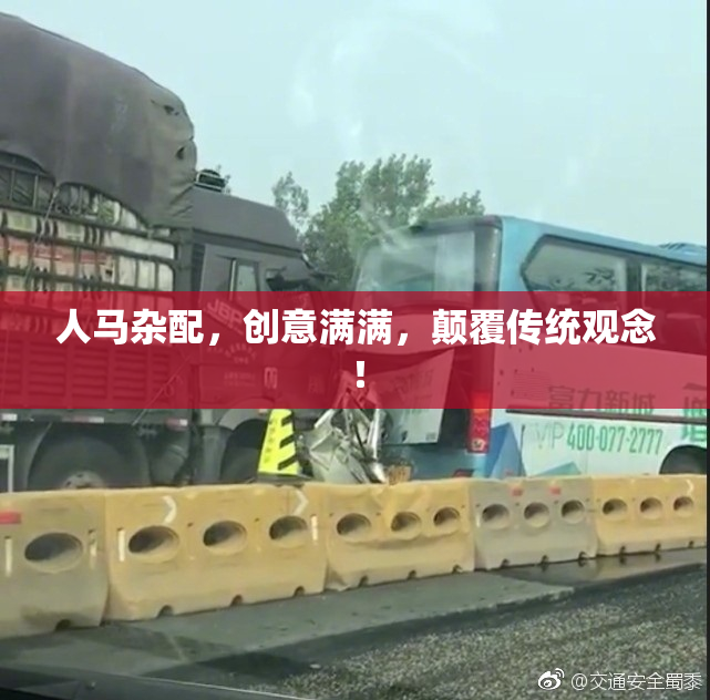 人马杂配，创意满满，颠覆传统观念！