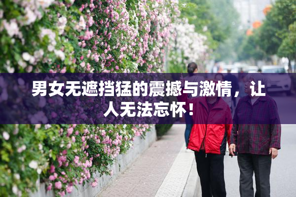 男女无遮挡猛的震撼与激情，让人无法忘怀！