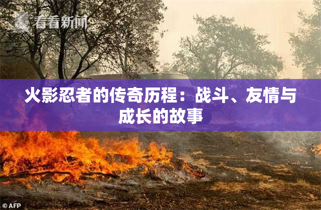 火影忍者的传奇历程：战斗、友情与成长的故事