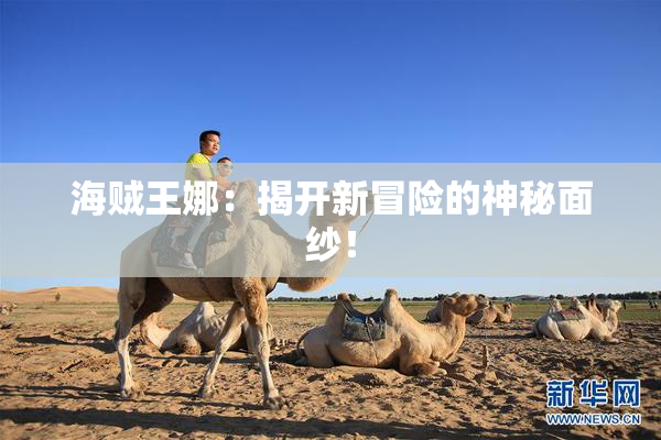 海贼王娜：揭开新冒险的神秘面纱！