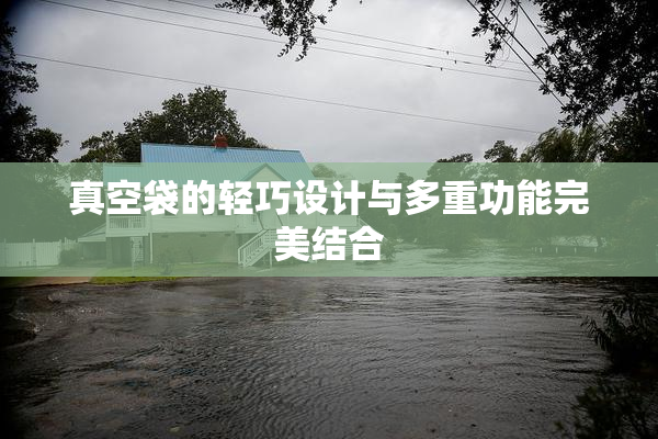 真空袋的轻巧设计与多重功能完美结合