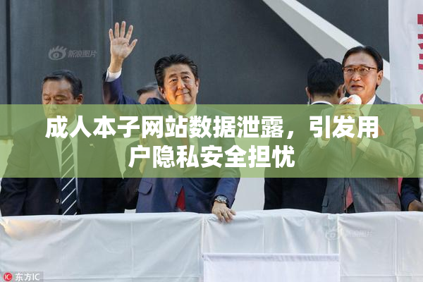 成人本子网站数据泄露，引发用户隐私安全担忧