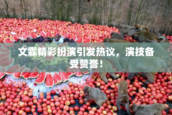 文霖精彩扮演引发热议，演技备受赞誉！