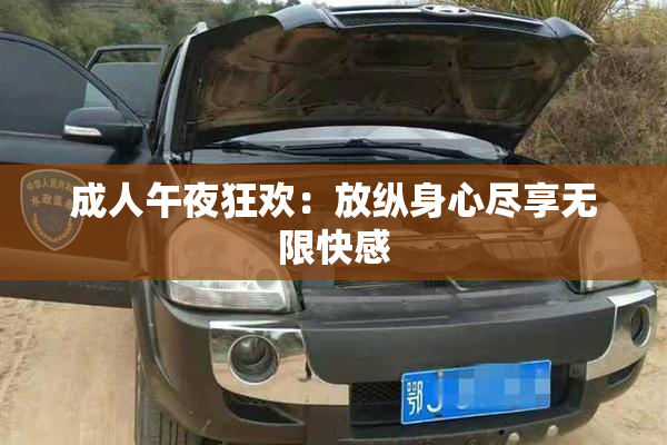 成人午夜狂欢：放纵身心尽享无限快感