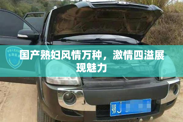 国产熟妇风情万种，激情四溢展现魅力