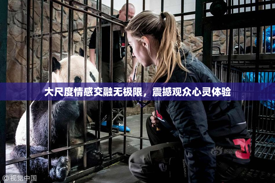 大尺度情感交融无极限，震撼观众心灵体验