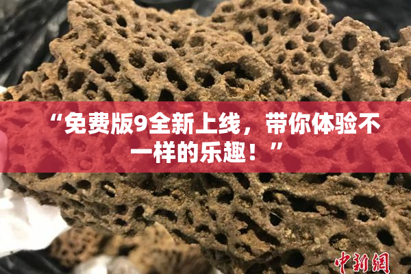 “免费版9全新上线，带你体验不一样的乐趣！”