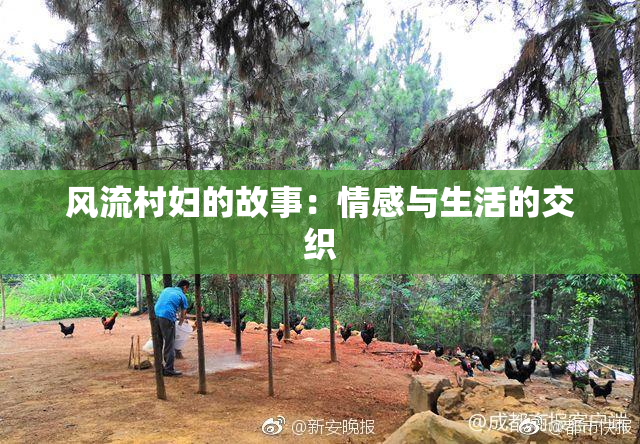 风流村妇的故事：情感与生活的交织