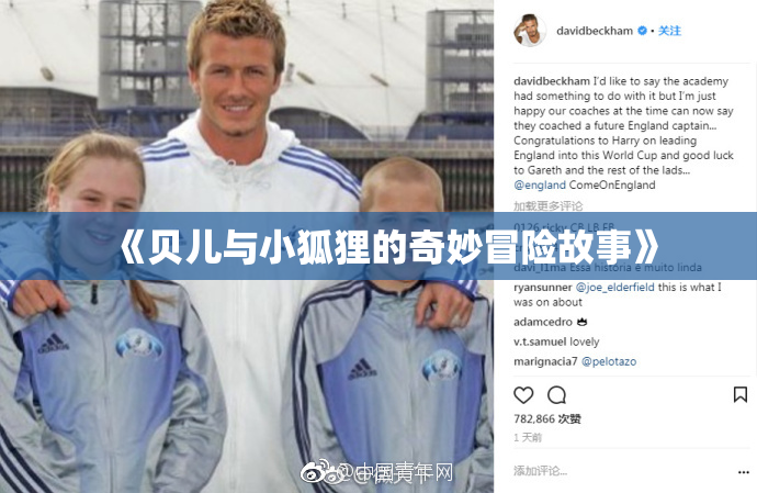 《贝儿与小狐狸的奇妙冒险故事》