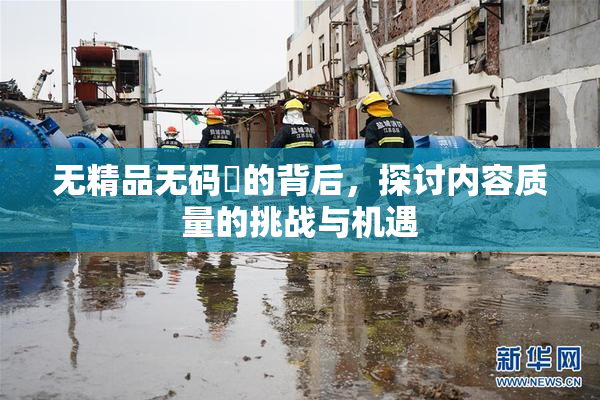 无精品无码囯的背后，探讨内容质量的挑战与机遇