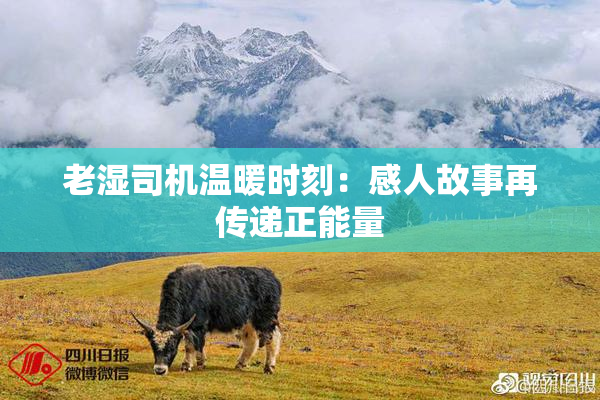 老湿司机温暖时刻：感人故事再传递正能量
