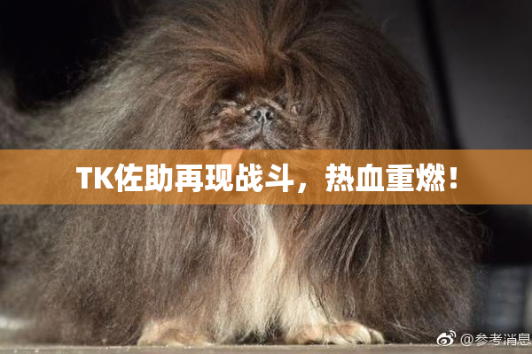 TK佐助再现战斗，热血重燃！