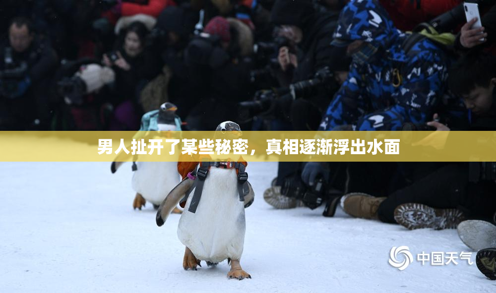 男人扯开了某些秘密，真相逐渐浮出水面