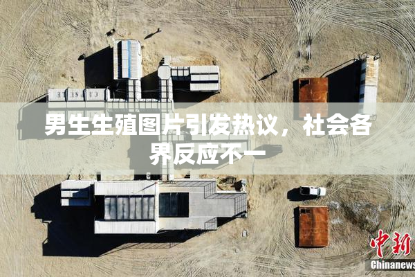 男生生殖图片引发热议，社会各界反应不一