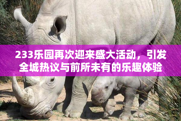 233乐园再次迎来盛大活动，引发全城热议与前所未有的乐趣体验