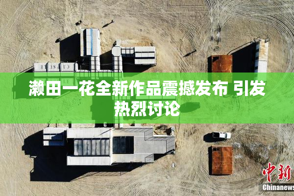 濑田一花全新作品震撼发布 引发热烈讨论