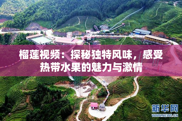 榴莲视频：探秘独特风味，感受热带水果的魅力与激情
