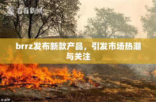 brrz发布新款产品，引发市场热潮与关注