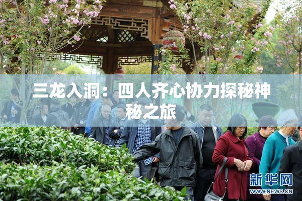 三龙入洞：四人齐心协力探秘神秘之旅