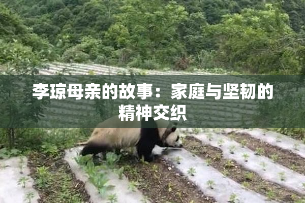 李琼母亲的故事：家庭与坚韧的精神交织