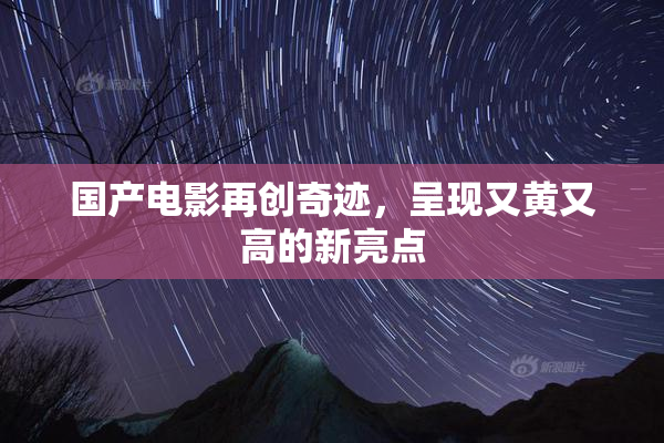 国产电影再创奇迹，呈现又黄又高的新亮点