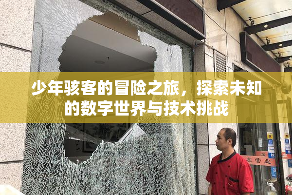 少年骇客的冒险之旅，探索未知的数字世界与技术挑战