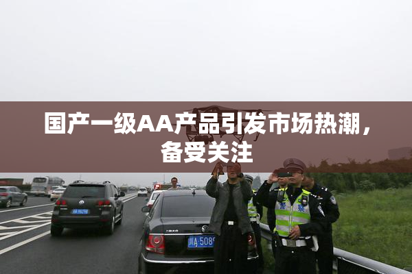 国产一级AA产品引发市场热潮，备受关注