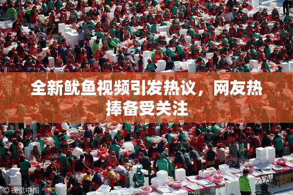 全新鱿鱼视频引发热议，网友热捧备受关注