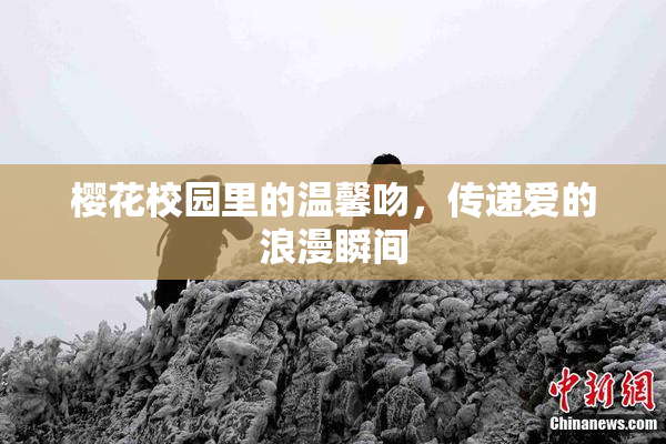 樱花校园里的温馨吻，传递爱的浪漫瞬间