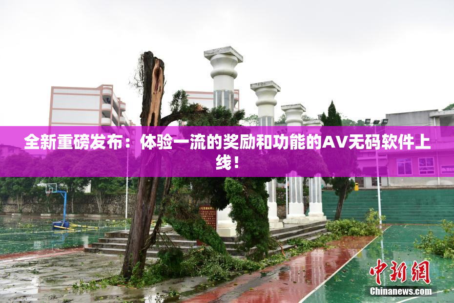 全新重磅发布：体验一流的奖励和功能的AV无码软件上线！