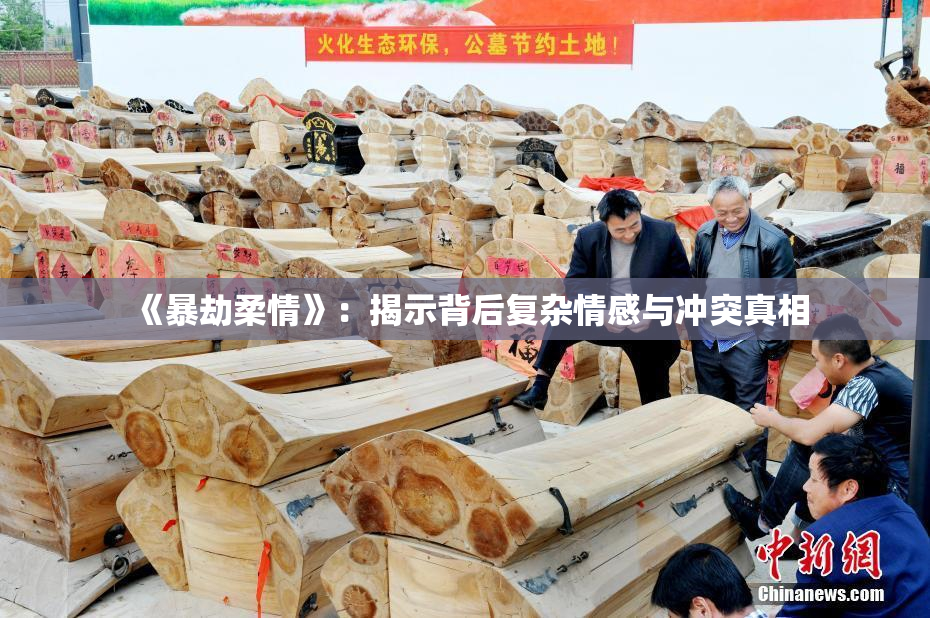 《暴劫柔情》：揭示背后复杂情感与冲突真相