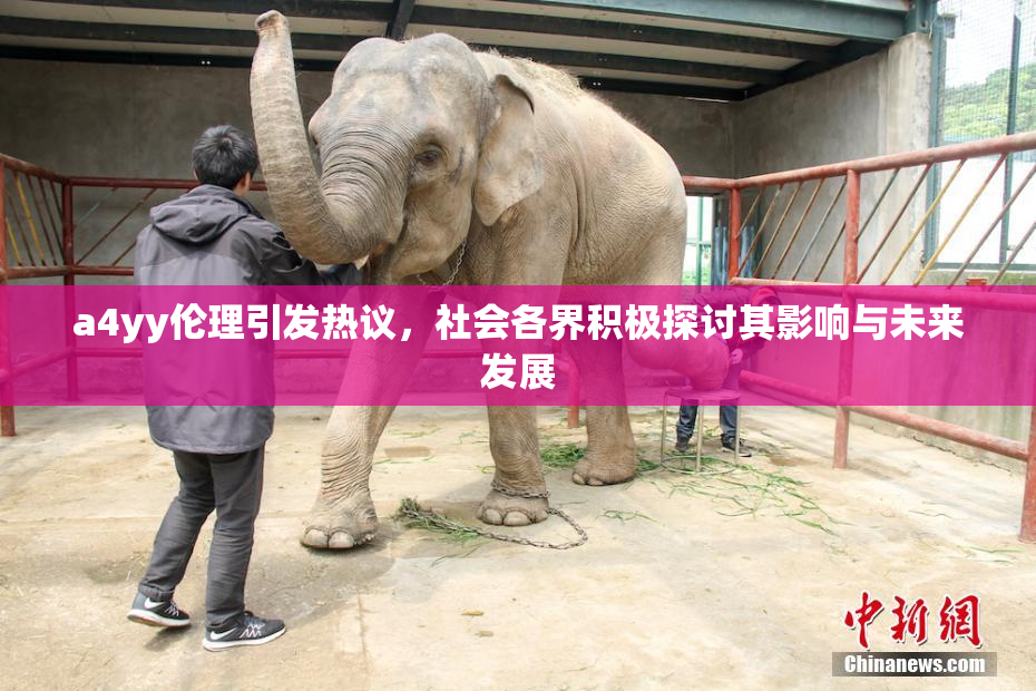 a4yy伦理引发热议，社会各界积极探讨其影响与未来发展