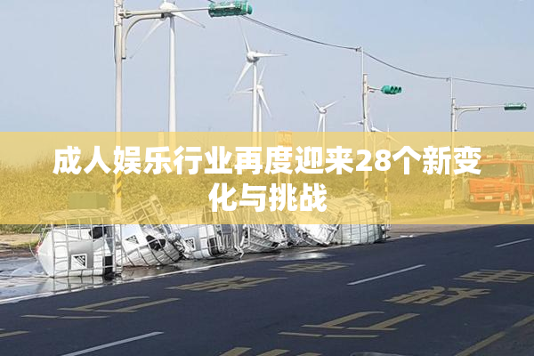 成人娱乐行业再度迎来28个新变化与挑战