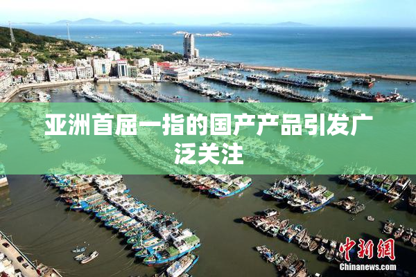 亚洲首屈一指的国产产品引发广泛关注