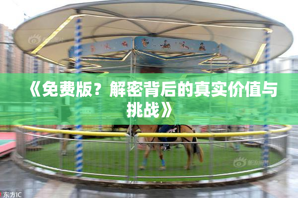 《免费版？解密背后的真实价值与挑战》